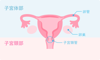 子宮体がん
