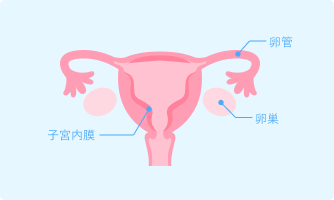 子宮内膜症