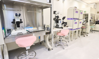 体外受精(IVF)
